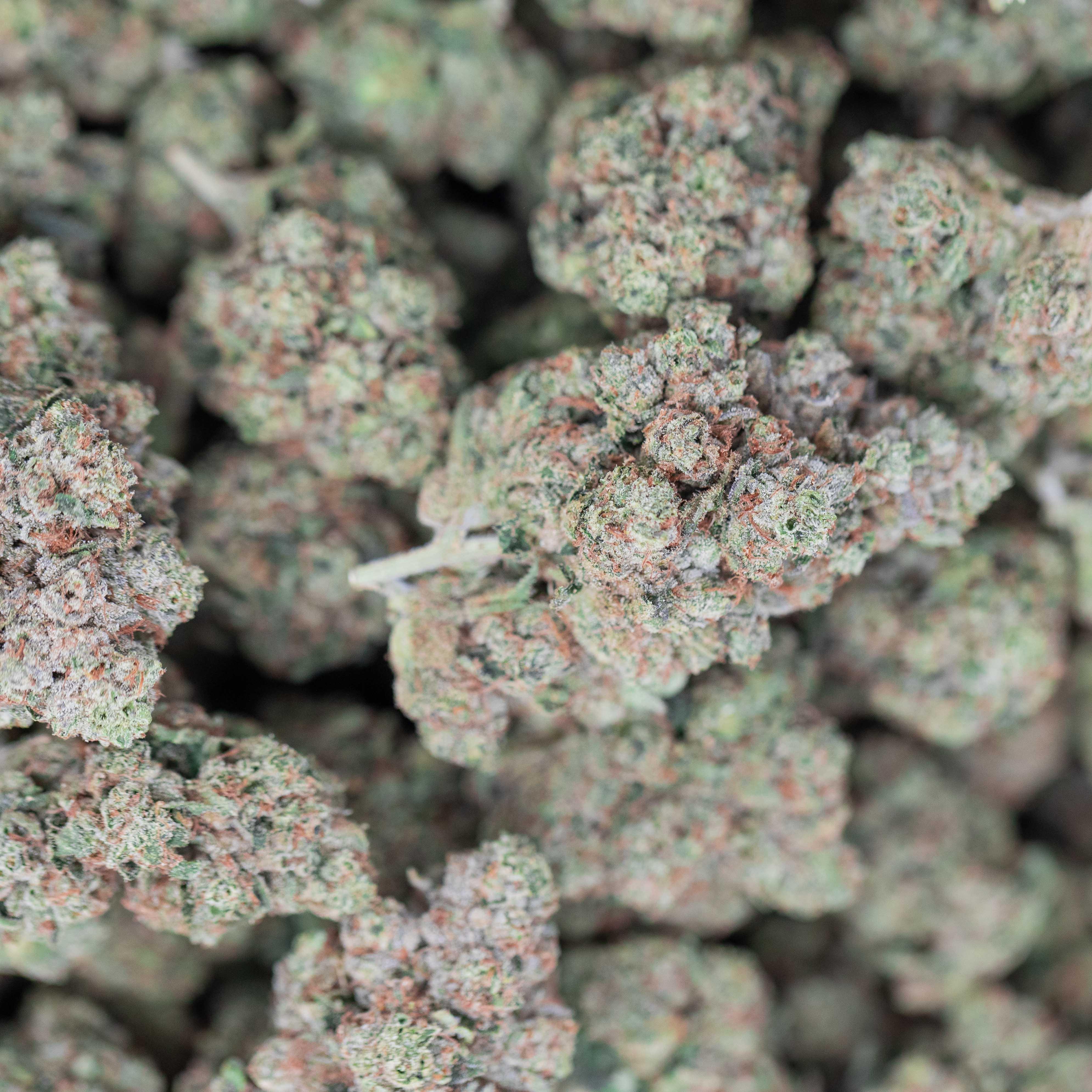 GhostWalker OG - Indoor Private Reserve Flower - Image 2