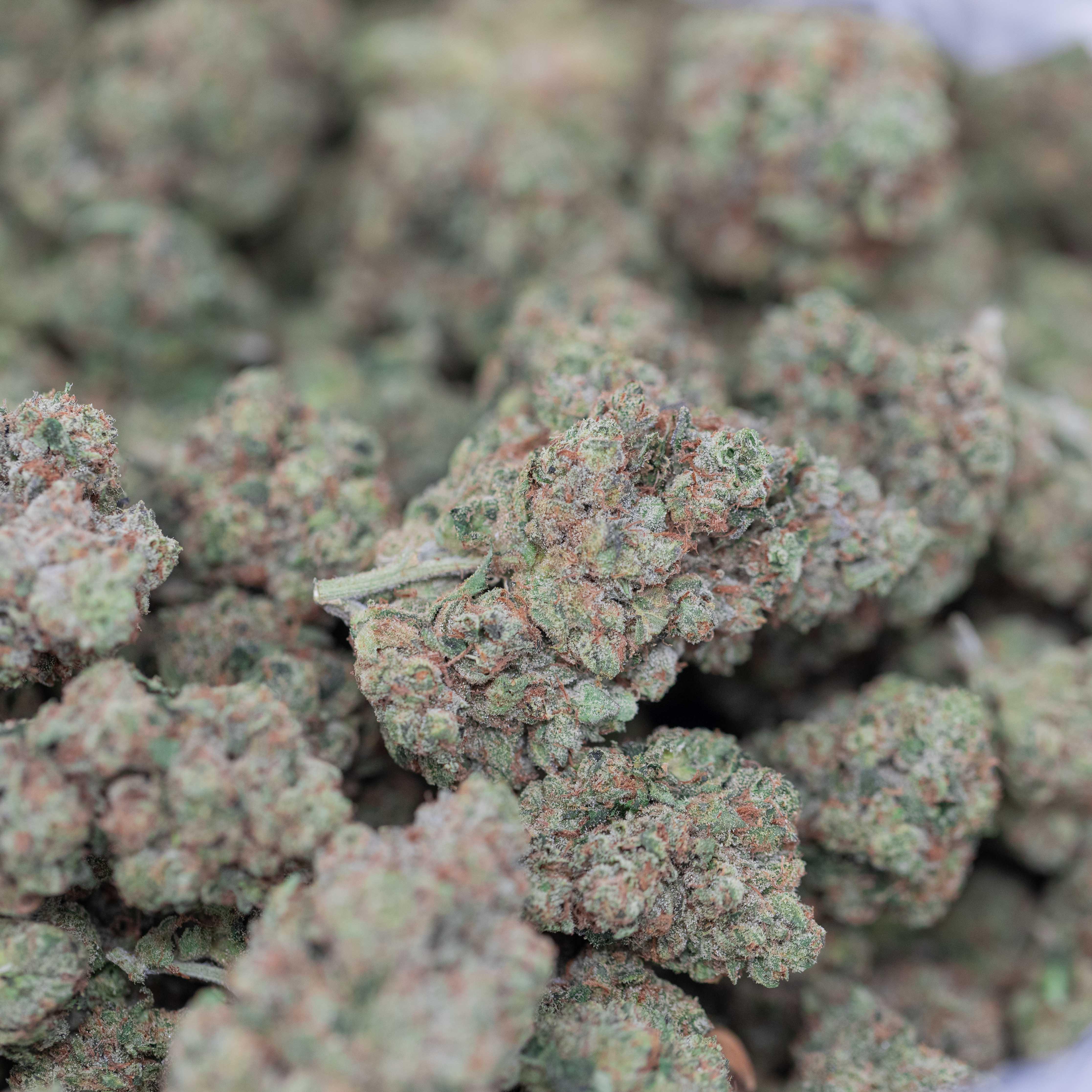 GhostWalker OG - Indoor Private Reserve Flower - Image 3