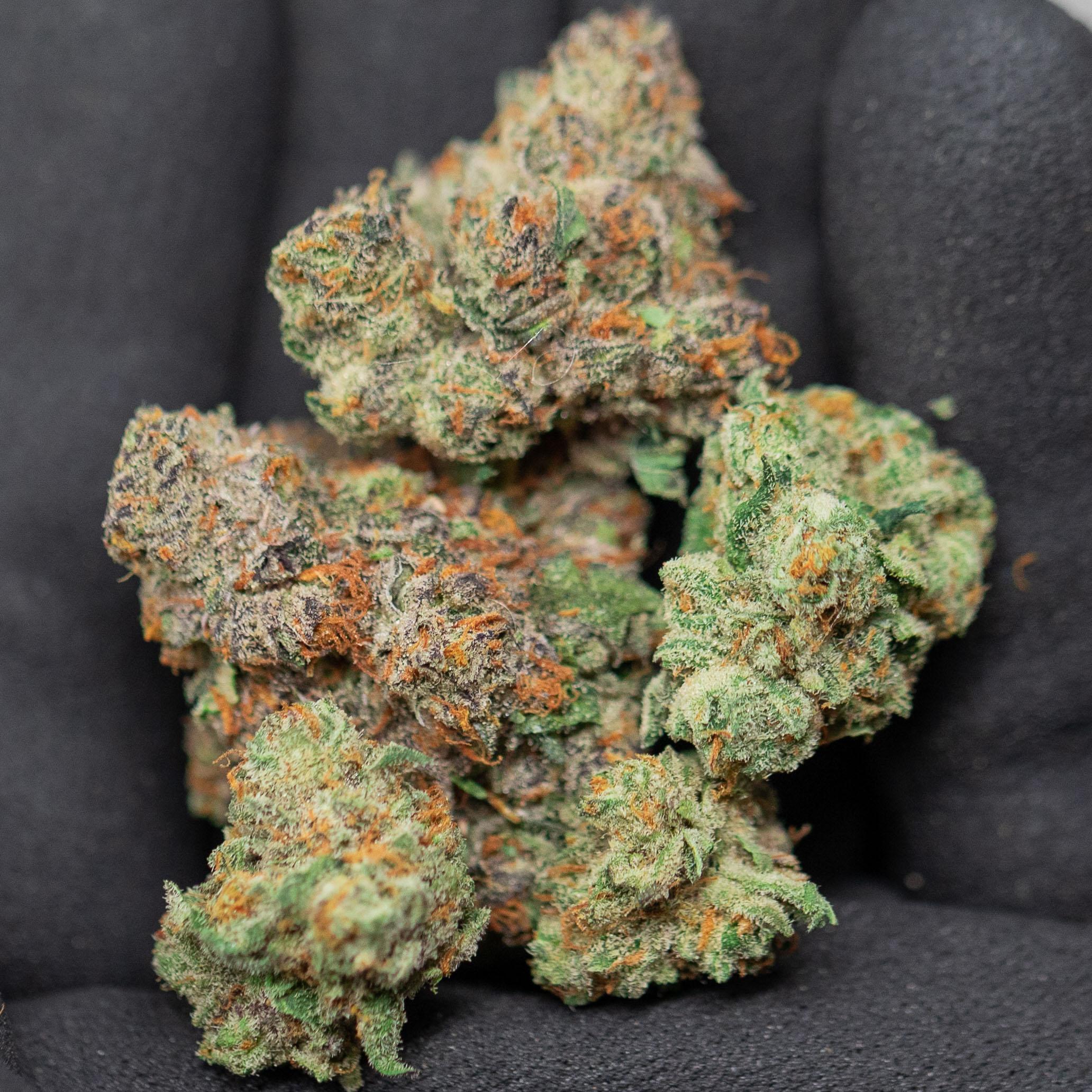 Guava Zarburst - Indoor Private Reserve Flower - Image 3