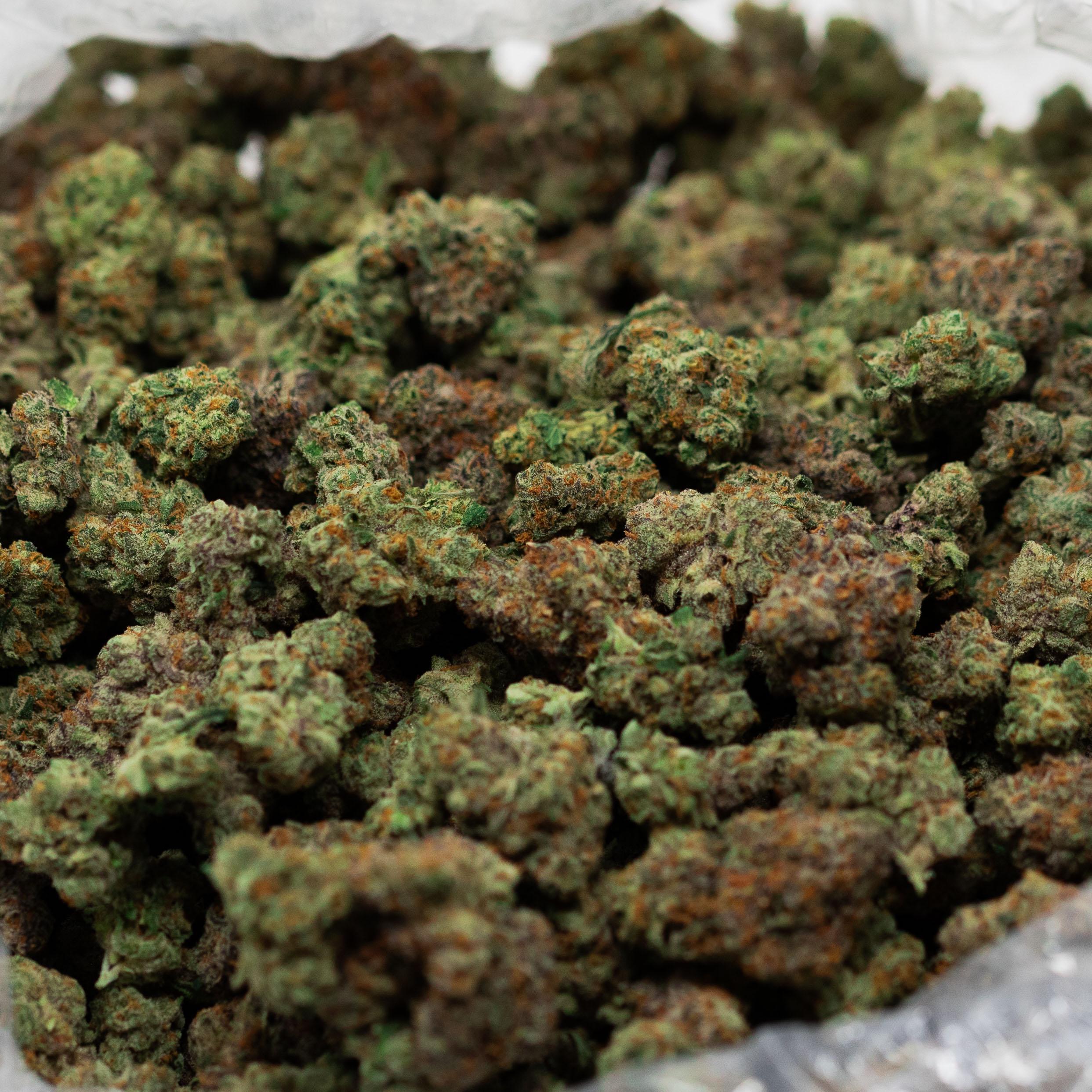 Guava Zarburst - Indoor Private Reserve Flower - Image 4