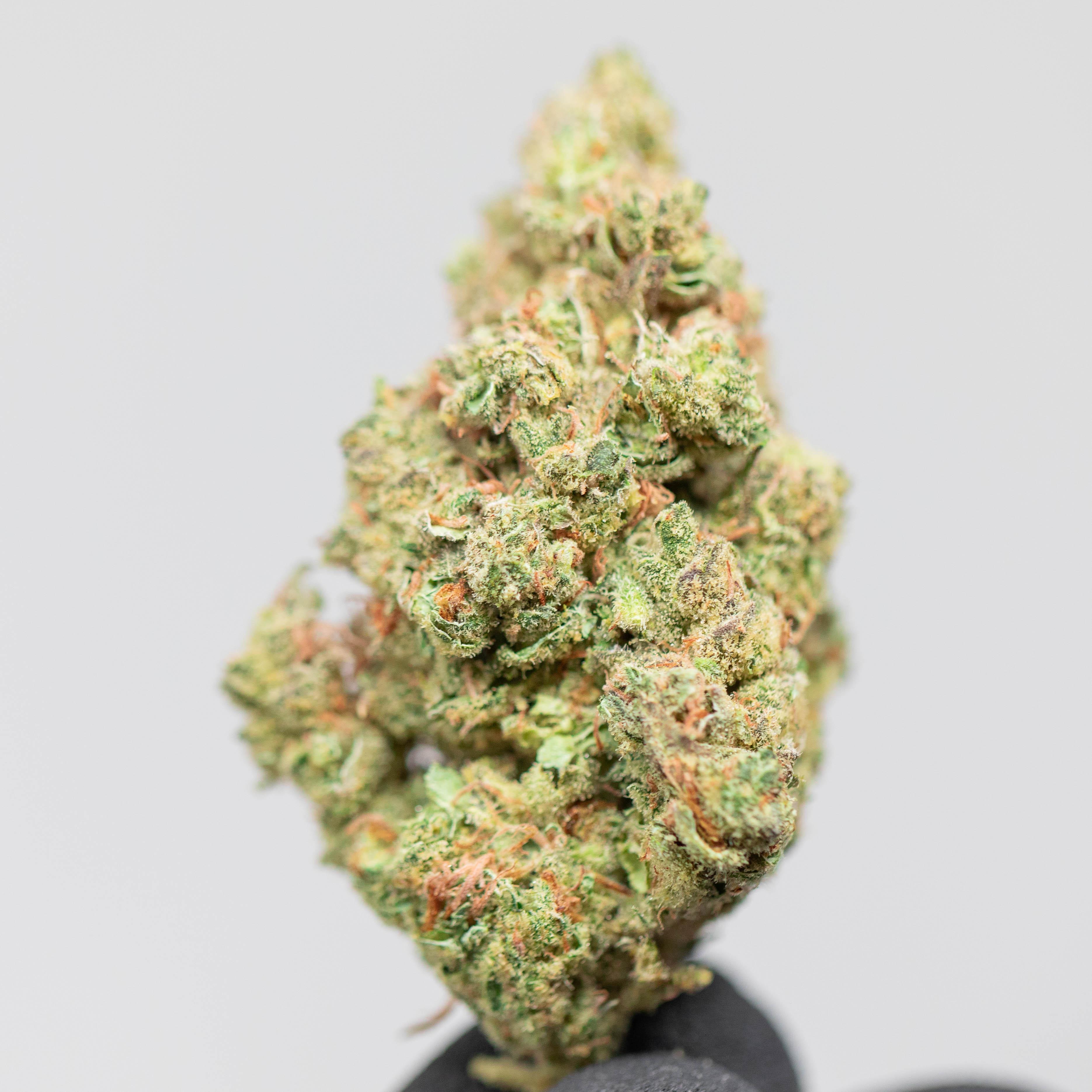 Jack Herer - Indoor Private Reserve Flower - Image 3