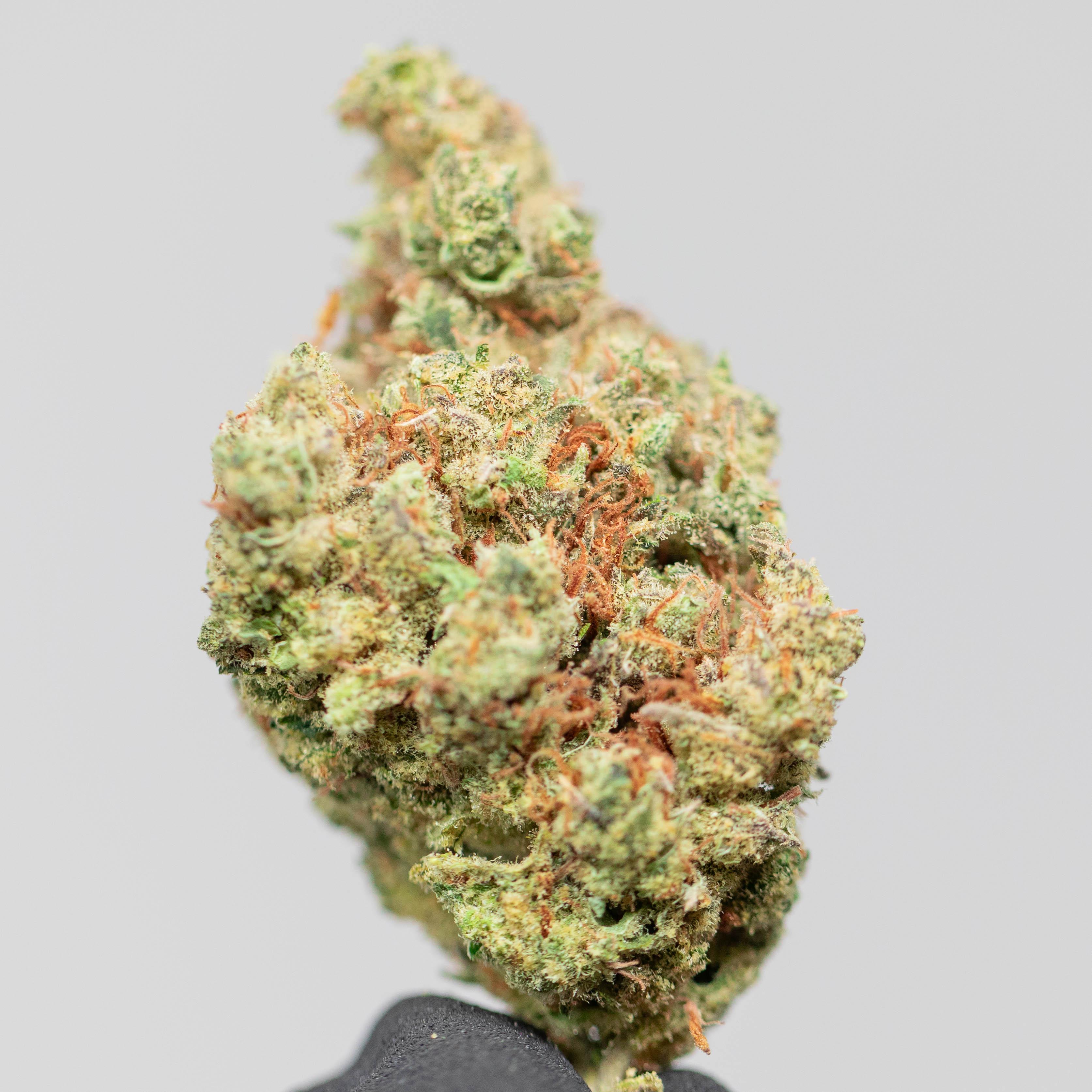 Jack Herer - Indoor Private Reserve Flower - Image 4