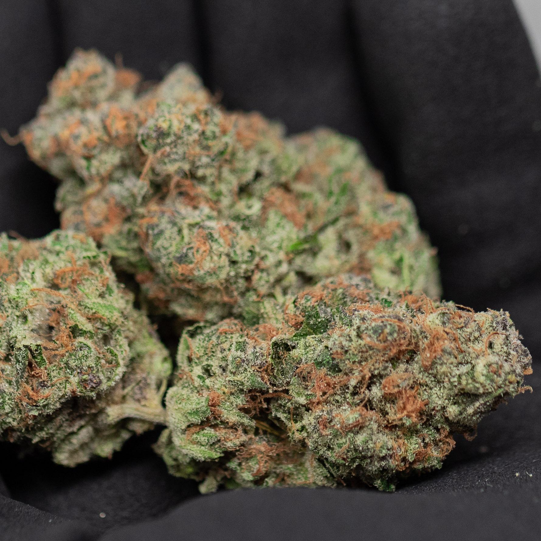 Orange Creamsicle - Indoor Private Reserve Flower - Image 2