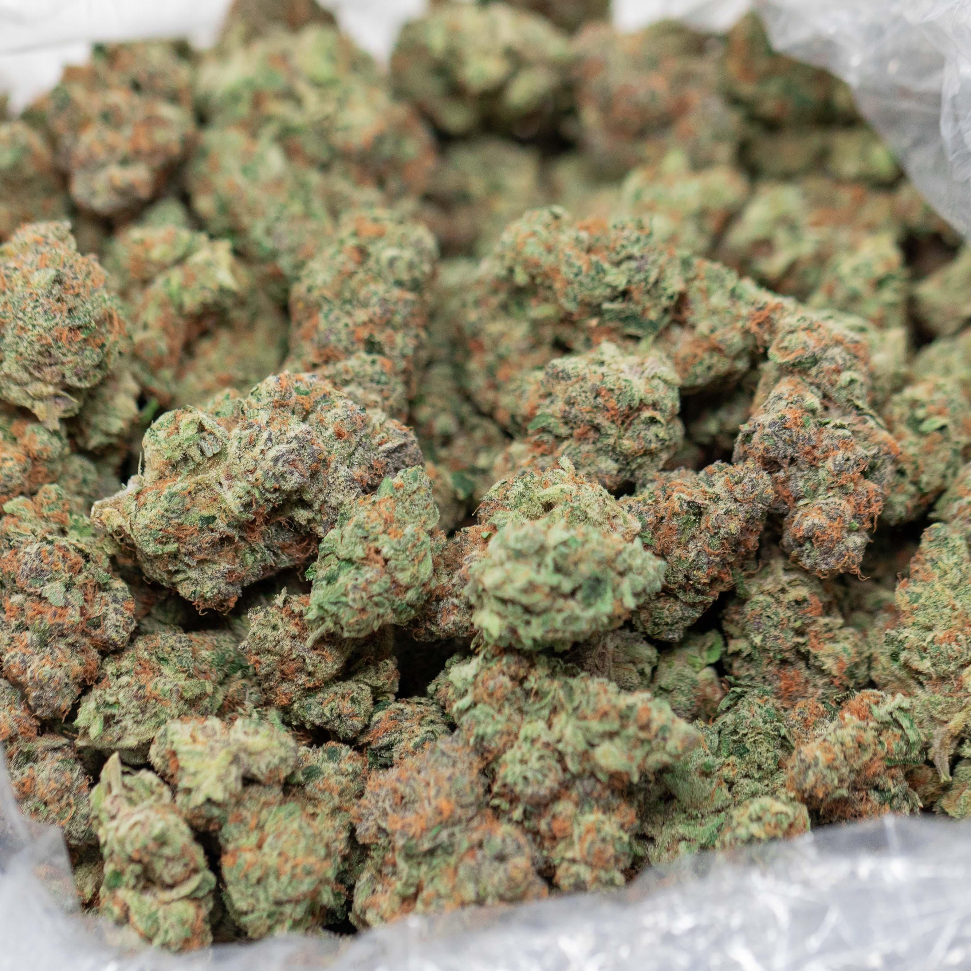 Orange Creamsicle - Indoor Private Reserve Flower - Image 4