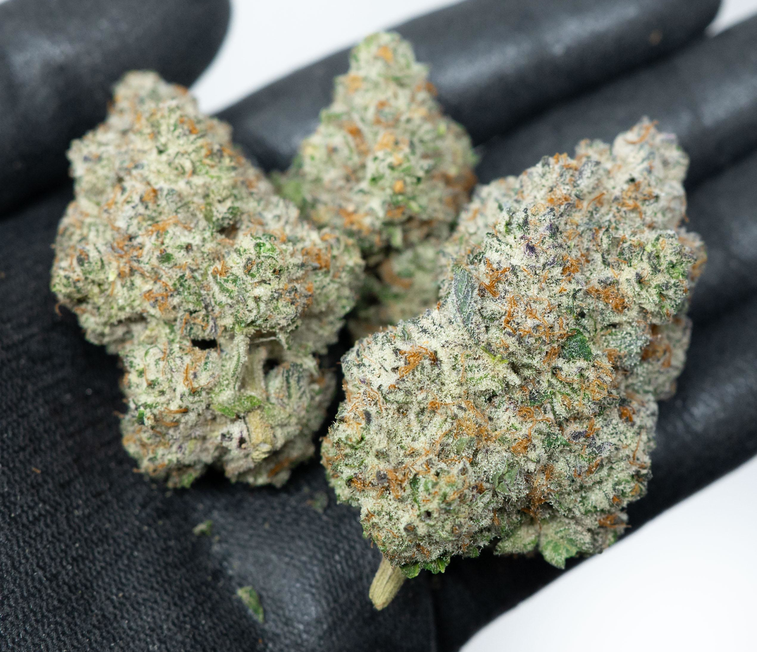 Oreoz - Indoor Top Shelf Flower - Image 2