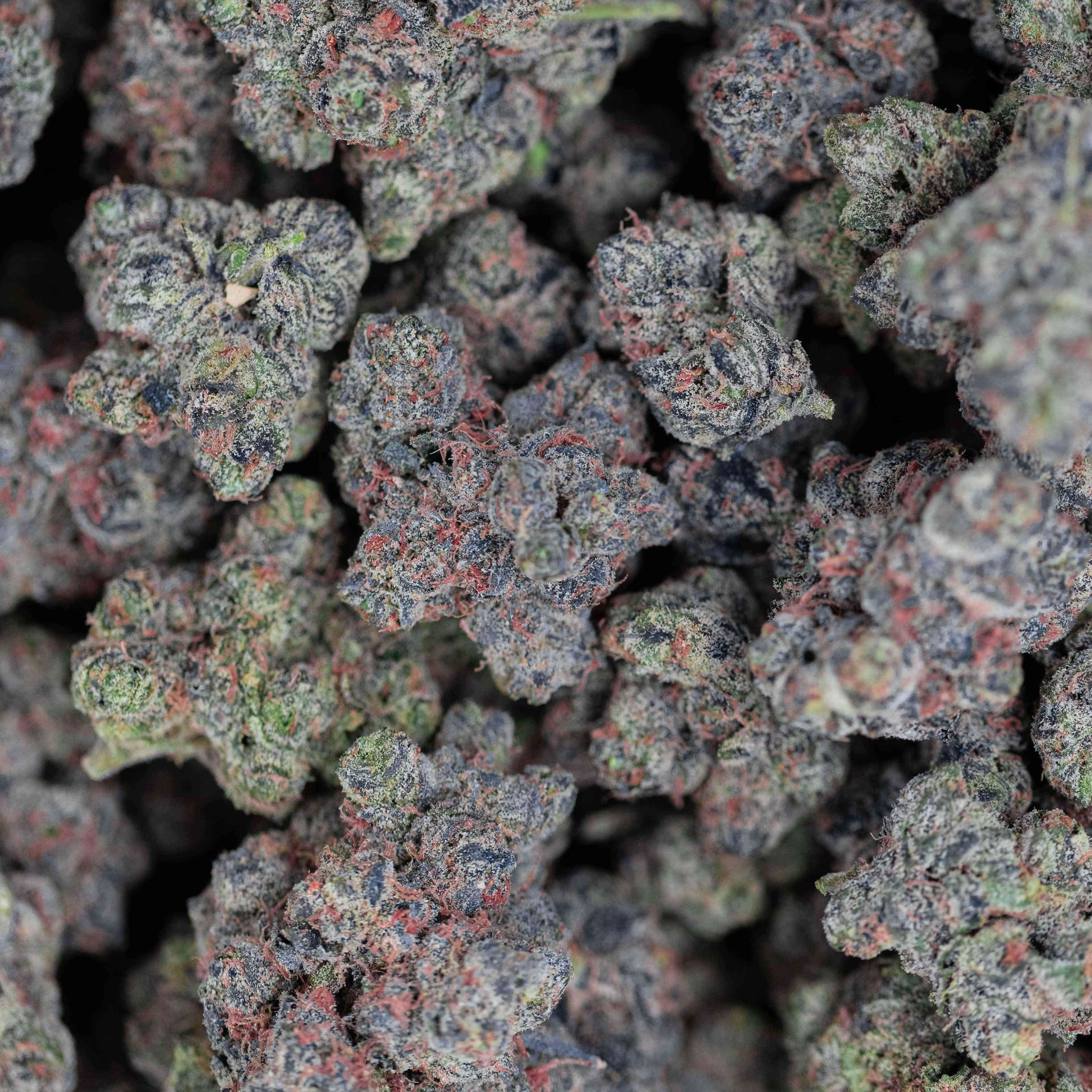 Violet Runtz - Indoor Private Reserve Flower