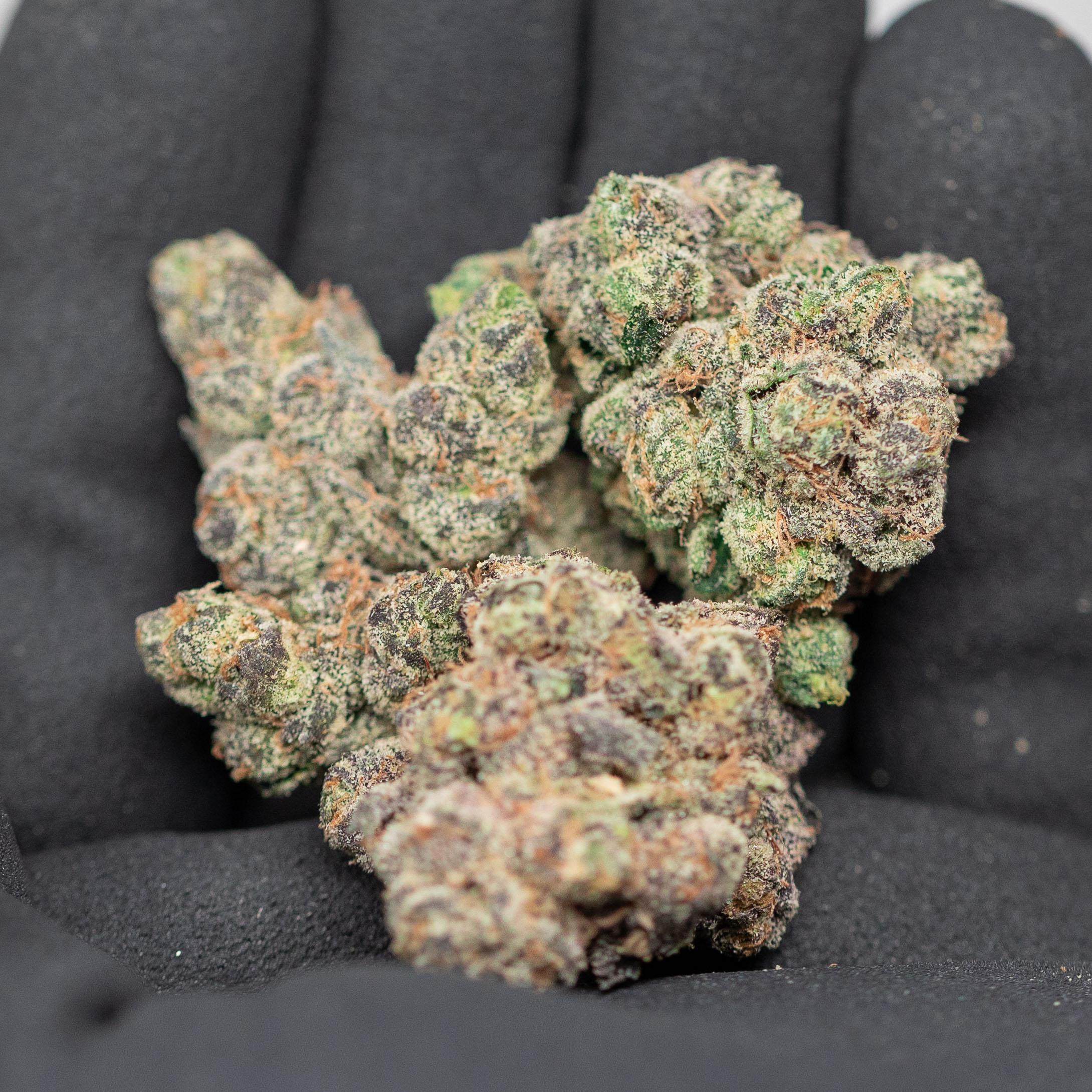 Violet Runtz - Indoor Private Reserve Flower - Image 2