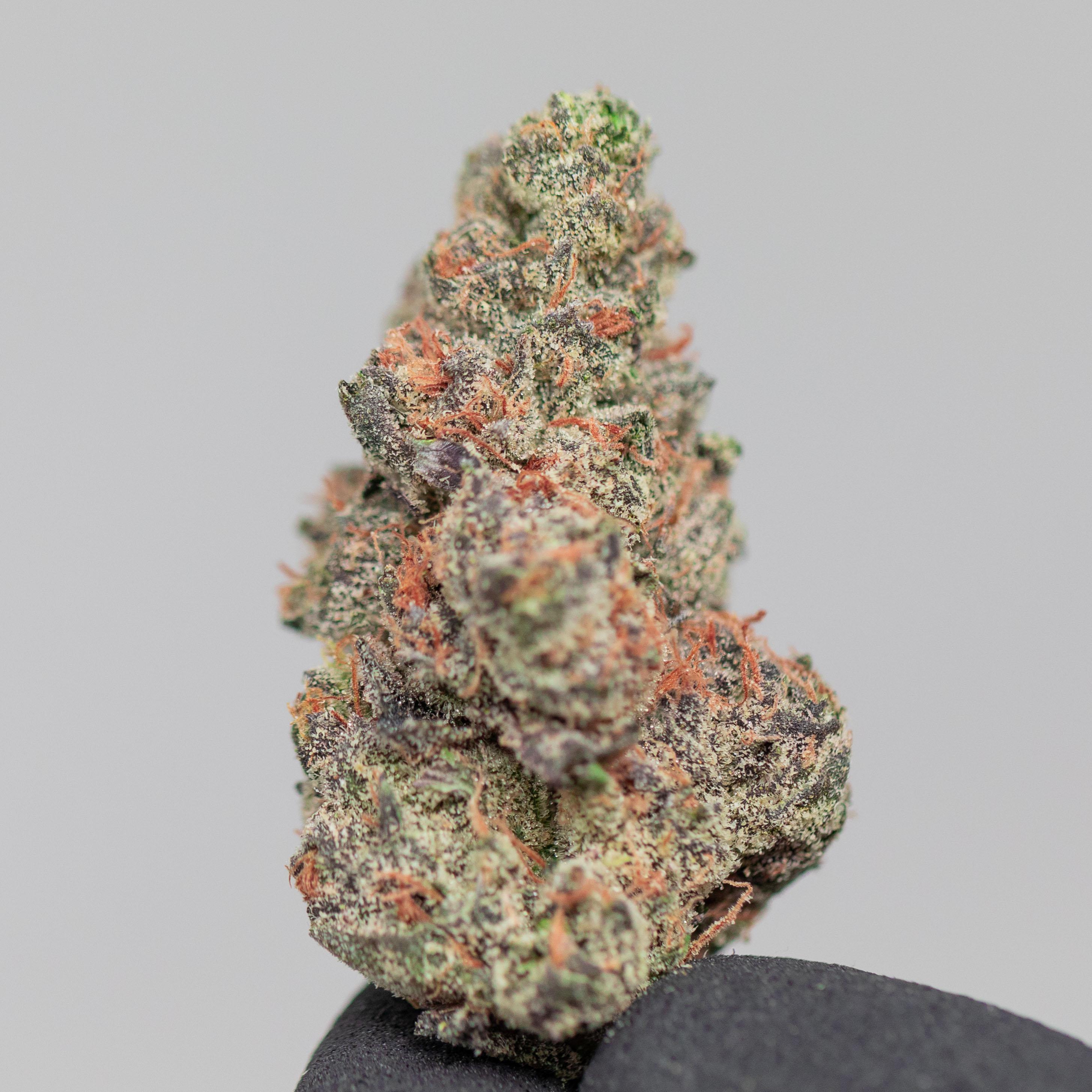 Violet Runtz - Indoor Private Reserve Flower - Image 3